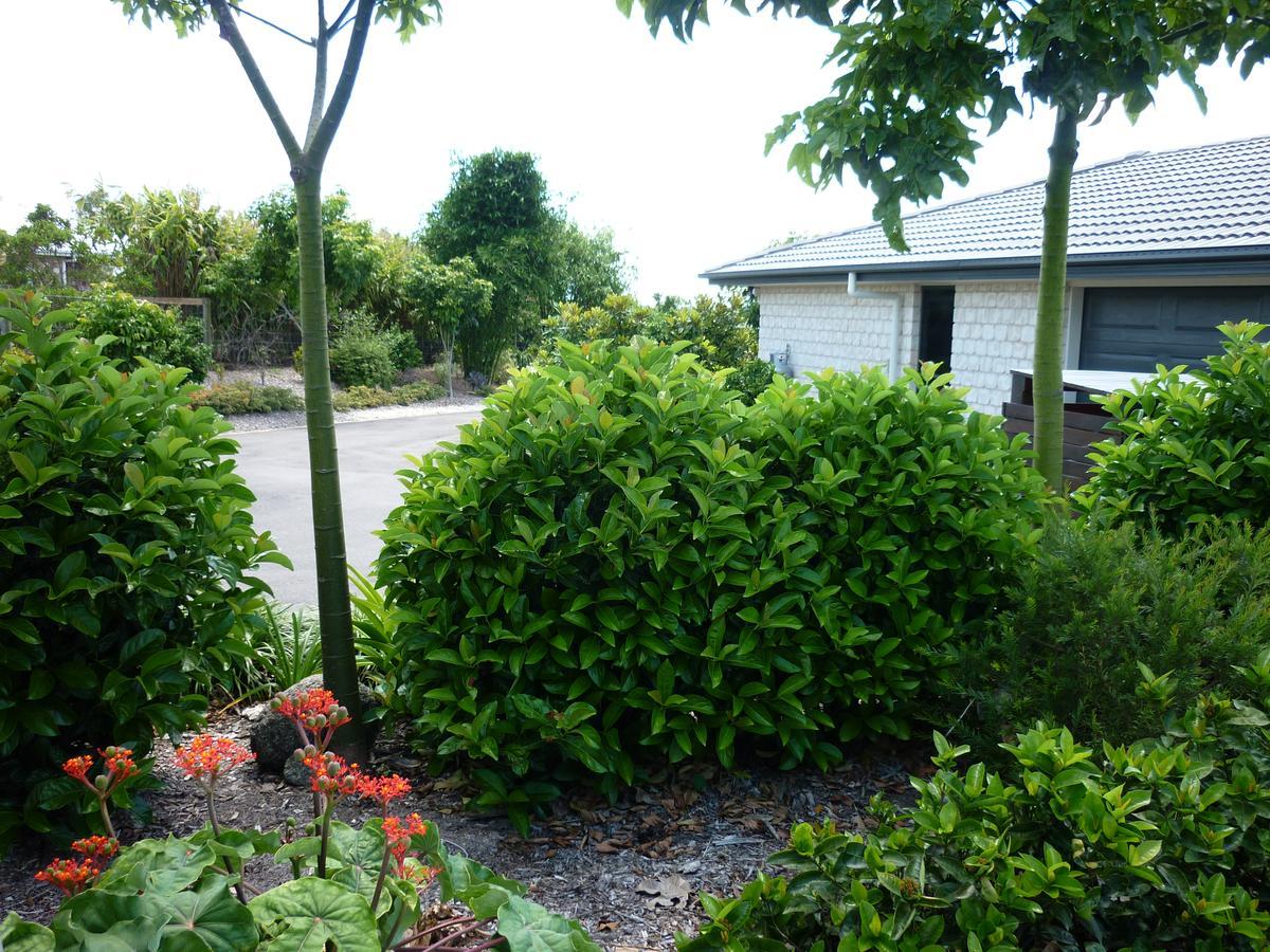 Willowbank Drive Bed & Breakfast Екстер'єр фото